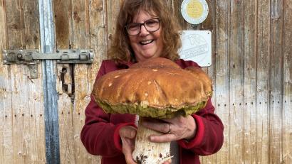 Bild: glb
Da strahlt das Sammlerherz – 1,3 Kilogramm bringt dieser stolze Steinpilz auf die Waage.