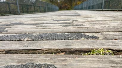 Bild: Gabi Schönberger
Der rutschhemmende Belag auf den Holzbohlen des Bocklradwegs ist auf den drei Brücken in Neustadt/WN nur mehr rudimentär vorhanden. Ob es eine schnelle Reparatur, oder doch eine Sperrung gibt, ist noch nicht endgültig beschlossen.