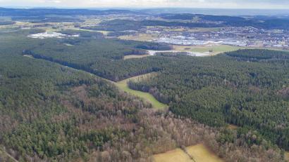 Bild: Thilo Hierstetter
Im Waldgebiet Fatzen (im Hintergrund links der Industriepark Ost/ am unteren Bildrand das Heim des Vogelschutzvereins) hat die Stadt in einer Neufassung statt 176 jetzt 59 Hektar als Potenzialfläche für Windräder an den Regionalen Planungsverband Oberpfalz gemeldet. Die Windgüte sei dort zwar nicht so gut, aber der dort erzeugte Strom könnte in der Nähe liegenden Industriegebieten zugute kommen.