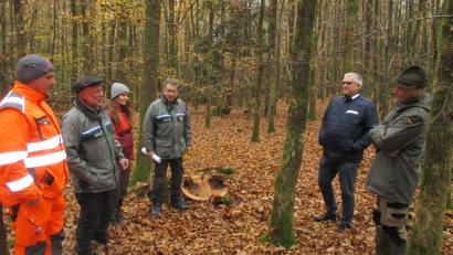 Bild: bnr
Im Rahmen einer Waldbegehung machen sich (von links) Wassermeister Stephan Lobinger, Forstdirektor Alwin Kleber, eine Mitarbeiterin vom AELF, Revierförster Hubert Amode, Bürgermeister Richard Tischler und Hubert Betz ein Bild vom Erfolg der Wiederaufforstung im Spitalwald.