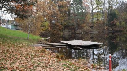 Bild: Hirsch
Wasserloch