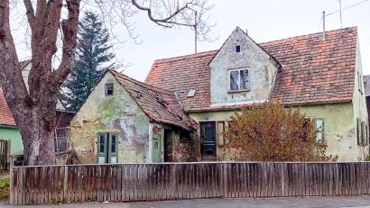 Bild: fpoz
Das sogenannte Hoch-Haus in Waldershof wird bald abgebrochen. Der Kastanienbaum soll auf jeden Fall erhalten werden.
