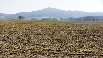 Bild: bkr
Westlich von Altensteinreuth soll auf einer Fläche von rund 13 Hektar ein Solarpark entstehen. Im Hintergrund sind der Armesberg und an seinem Fuß Altensteinreuth zu sehen.