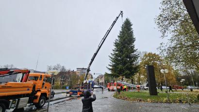 Bild: jak
Feuerwehr und Mitarbeiter des Betonwerks Prössl stellen den knapp zehn Meter hohen Weihnachtsbaum vor dem Rathaus in Weiden auf.