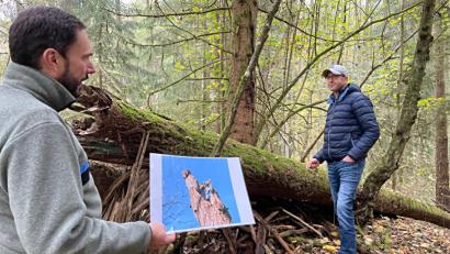 Bild: Armin Hofbauer/AELF Regensburg-Schwandorf/exb
Revierförster Jörg Maderer (links) hat Waldbesitzer Wolfgang Steiniger geraten, Totholz ( im Hintergrund) und Biotopbäume für zwölf Jahre im Wald zu belassen.