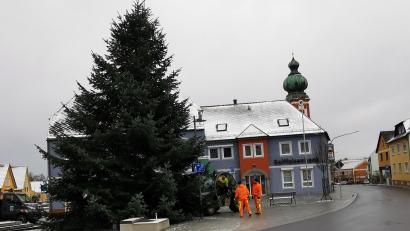 Bild: gz
Mit dem Teleskoplader und mit kräftiger Unterstützung der Bauhofmitarbeiter hievte zweiter Bürgermeister Thomas Kleber am Tillyplatz die Douglasie in die Halterung.