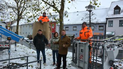 Bild: jr
Die Installation der neuen Weihnachtsbeleuchtung übernahm der Bauhof der Stadt Mitterteich. Wolfgang Rosner (links hinten) und Joachim Sommer (rechts) waren federführend mit den Arbeiten betraut. Ralf Kirschke (links), Martina Rüth (Stadtverwaltung) und Bürgermeister Stefan Grillmeier überzeugten sich vom Baufortschritt.