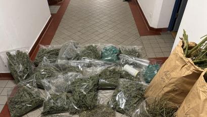 Bild: KPI Regensburg 
Die Polizei hat mehrere Kilo Cannabis sichergestellt - drei Brüder müssen sich wegen gemeinschaftlichem Anbau und Handel mit Cannabis verantworten.