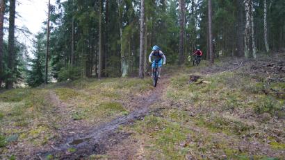 Symbolbild: kaz
Im Interessenskonflikt zwischen Mountainbikern und Waldbesitzern rund um Weiden ist es wichtig, miteinander zu reden, gegenseitig Verständnis zu zeigen. All das ist Voraussetzung für ein gutes und rücksichtsvolles Miteinander.