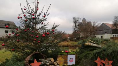 Archivbild: Heidi Gleißner/DJK Falkenberg/exb
Sogar in der Corona-Zeit gab es Beiträge zum Lebendigen Adventskalender in Falkenberg.