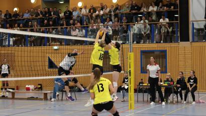 Archivbild: Andreas Emmel
Die Volleyballerinnen des SV Hahnbach wollen im Heimspiel gegen den punktgleichen TSV Eibelstadt den nächsten Sieg im Kampf um den Klassenerhalt einfahren.