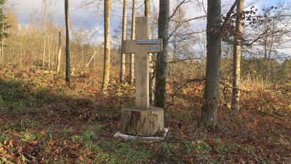 Bild: wro
Die Gedenkstätte für den bei der Holzschlacht getöteten Fuchsmühler Leonhard Bauer wurde vor einigen Wochen errichtet. Das Holzkreuz steht am unteren Reutweg in der Waldabteilung Schrammlohe.