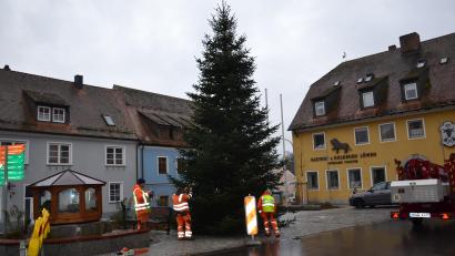 Bild: gi
Der schmucke Weihnachtsbaum am Moosbacher Marktplatz wird in der Advent- und der Weihnachtszeit neben der Brunnenkrippe leuchten. Die Bediensteten des Bauhofes bringen die Lichter an.