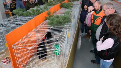 Bild: do
Regen Zuspruch fand die Lokalschau in der Ausstellungshalle beim "Erntedank" der Tremmersdorf/Speinsharter Kleintierzüchter