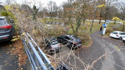 Bild: Petra Hartl
Das Parkdeck Kräuterwiese in Amberg könnte im hinteren Bereich um ein kleines Parkhaus für die Altstadt-Bewohner erweitert werden.