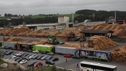 Archivbild: Benkhardt
Ein Bild aus besseren Zeiten: Das Holzlager am Sägewerk der Ziegler-Gruppe bei Plößberg ist gefüllt.