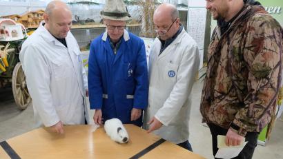 Bild: do
Die Preisrichter der Kreis- und Lokalschau waren sich einig: Auch viele Tiere der Kaninchenzüchter sind Spitze.