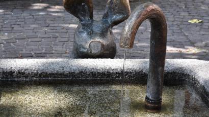 Bild: Stephan Huber
Der Schweinchenbrunnen am Viehmarkt in Amberg war Schauplatz einer Körperverletzung, die nun ein juristisches Nachspiel hat.
