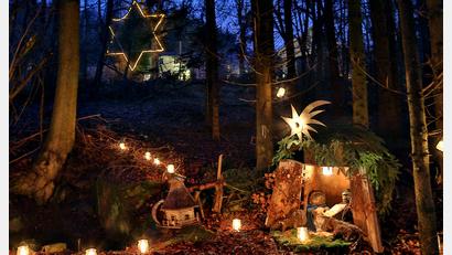Archivbild: Gerhard Götz
Der Grenzwald am Eulenberg wird zum "Advent im Wald" in eine besondere Atmosphäre gehüllt.