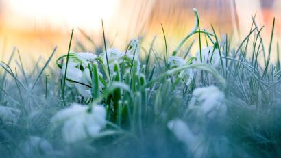 Symbolbild: Pia Bayer/dpa
In Bayern wird es glatt und frostig, doch es bleibt grün: Schnee fällt in den kommenden Tagen kaum.