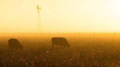 Bild: Martin Cossarini/dpa
Bauern in der EU befürchten, dass sie in einen neuen Preiskampf gezwungen werden. (Archivbild)