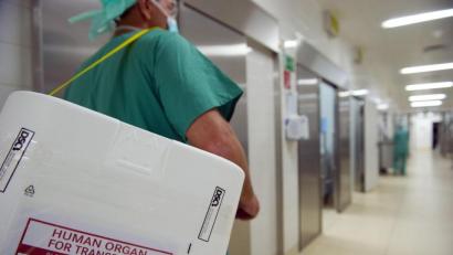 Bild: Soeren Stache/dpa
Mehr Organspenden werden weiterhin dringend benötigt. (Archivbild)