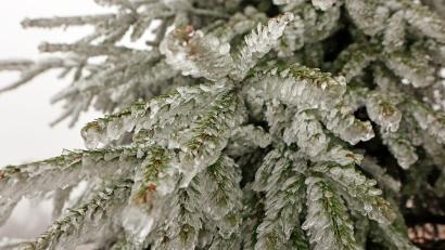 Symbolbild: Matthias Bein/dpa
Pünktlich zum zweiten Advent wird es winterlich.