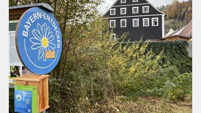 Bild: Isabel Lautenschlager
Die 52. Stempelstation der "Bayern-Entdecker" ist im Naturpark Hirschwald zu finden - gleich hinter dem Hohenburger Rathaus.