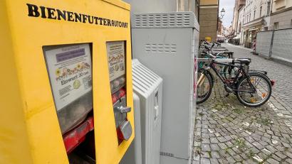 Bild: Petra Hartl
Der Bienenfutterautomat am Rathaus in Amberg wurde in der Nacht von Samstag auf Sonntag vermutlich mit einem Böller gesprengt.