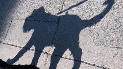 Symbolbild: Ralf Hirschberger/dpa
In Amberg ist es zwischen einer 41-Järhigen und einem 33-Jährigen zu einem Streit gekommen. Der Grund: Hund und Katz