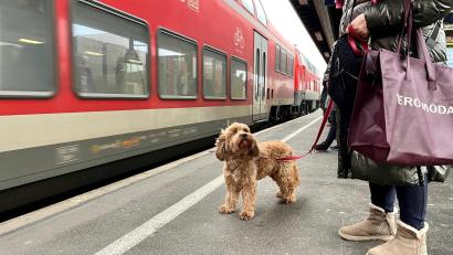 Bild: Gabi Schönberger
Frauchen, der Zug kommt doch noch! Die Züge der Bahn auf der Linie RE2 sorgen am Weidener Bahnhof immer wieder für Überraschungen.
