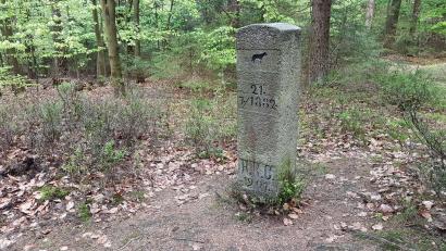 Bild: do
Der letzte Wolf wurde in der Nordoberpfalz 1882 bei Mehlmeisel im damaligen Landkreis Kemnath erlegt. An dieses Ereignis erinnern die eingemeißelten Zahlen an einer ausgedienten Straßenbegrenzungssäule.