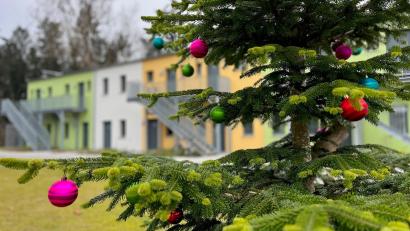 Bild: Gabi Schönberger
Gemeinsam mit dem Team der Initiative e.V. schmückten die Bewohner den Baum vor der Unterkunft.