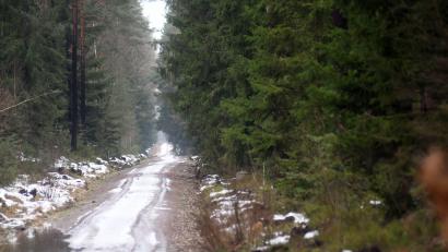 Symbolbild: Gabi Schönberger
In einem Waldstück im Westen von Weiden suchen am Sonntagabend mehrere Einsatzkräfte nach einem verschwundenen Jäger.