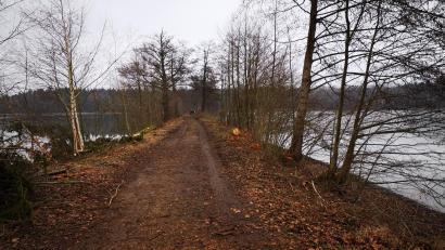 Archivbild: Dobler
Die Eselweiher bei Teublitz werden nicht als Landschaftsschutzgebiet ausgewiesen. Das beschloss der Kreistag mit 28:26 Stimmen.