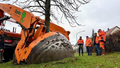 Bild: Gabi Schönberger
Mithilfe der Rundspatenmaschine entfernt die Firma Opitz den Baum aus den Boden, um ihn anschließend umpflanzen zu können.