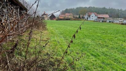 Bild: Gabi Schönberger
Ein Bauvorhaben der besonderen Art: Renate Schneider-Kraus will auf ihrer Wiese nahe des Rußweihers in Eschenbach ein Tiny-House-Dorf aufbauen.