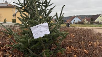 Bild: Heike Unger
"Zum Verschenken" verkündete die Botschaft am Weihnachtsbaum. Jemand hatte ihn am Wochenende in einem Kreisverkehr in Ebermannsdorf abgestellt.