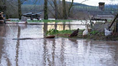 Bild: Pia Bayer/dpa
Regen und Schneeschmelze führen zu Hochwasser in Nordbayern.