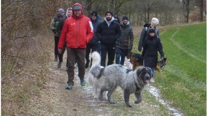 Bild: mad
Bei der Wandertour darf auch der Hund mit: In kleinen Gruppen wird die Gegend um Schwarzhofen erkundet.