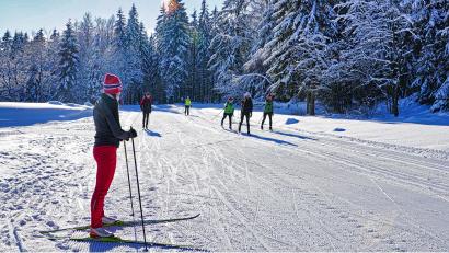 Bild: Andreas Munder/exb
Die Langlauf-Loipe an der Bleaml-Alm bei Fichtelberg ist derzeit eine der wenigen, die sich in einem akzeptablen Zustand befinden.