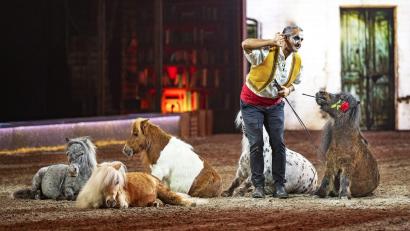 Bild: © CAVALLUNA/CAVALLUNA/obs
Pony Freiheit von Bartolo Messina.