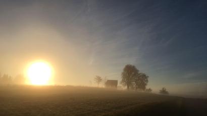 Symbolbild: Laura Gräfenhahn
So schön wie hier in Aschach (Freudenberg) kann Januar-Nebel sein.