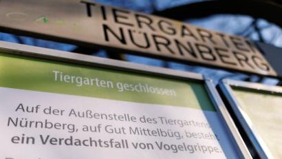Bild: Daniel Karmann/dpa
Wegen Vogelgrippe-Fällen bei Weißstörchen ist der Tiergarten Nürnberg aktuell geschlossen.