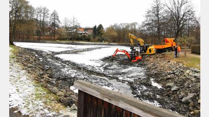 Bild: Portner
Der Marktweiher-Anlage in Oberviechtach bekommt 2025 mehr Aufenthaltsqualität. Aktuell entnehmen Bagger den Schlamm in Nähe des Ablaufes.