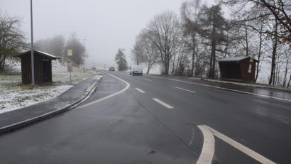 Bild: fz
Bis zum Bushäuschen links geht der Gehweg von Letzau. Wer mit dem Bus Richtung Weiden will, muss die Staatsstraße queren. Die Feuerwehrjugend fordert per Antrag eine sichere Lösung.