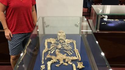 Bild: Bernhard Zipfel/University of the Witwatersrand/dpa
Geochemikerin Tina Lüdecke steht neben "Little Foot“, einem bemerkenswert gut erhaltenen Skelett des Australopithecus.