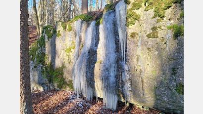 Bild: Walter Langhans
Herabrinnendes Wasser ist auf dem Hartenfels zu einer Eiswand gefroren.