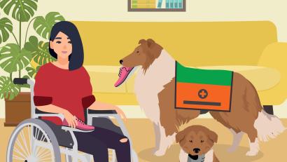 Grafik: Marina Gube
Ein Mobilitätsassistenzhund sorgt zum Beispiel im Alltag dafür, dass das Schuhe anziehen einfacher wird. Die Herausforderung dabei - jeweils ein zusammenpassendes Paar Schuhe zu apportieren.