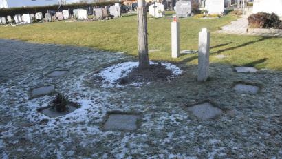 Bild: fz
Die Vorgaben sind streng, wie die Platten der Urnenschächte im Störnsteiner Friedhof zu beschriften sind. Der Gemeinderat will die Regeln in seiner nächsten Sitzung lockern.